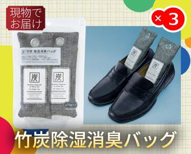 竹炭除湿消臭バッグのイメージ