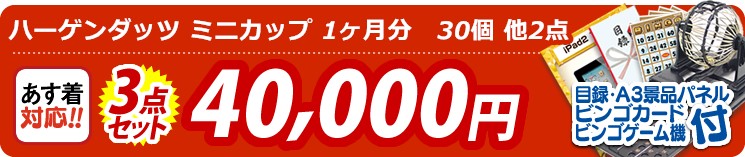 【目玉:ハーゲンダッツ ミニカップ 1ヶ月分　30個】3点セット 3点セット 40000円