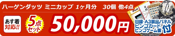 【目玉:ハーゲンダッツ ミニカップ 1ヶ月分　30個】5点セット 5点セット 50000円