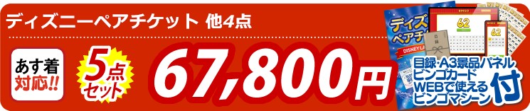 【目玉：ディズニーペアチケット】5点セット 5点セット 67800円
