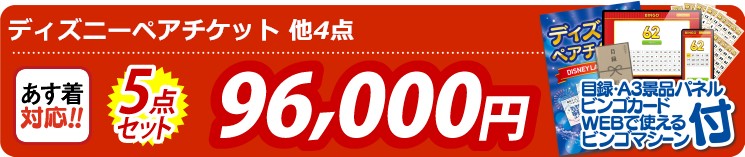 【目玉：ディズニーペアチケット】5点セット 5点セット 96000円