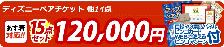 【目玉：ディズニーペアチケット】15点セット 15点セット 120000円