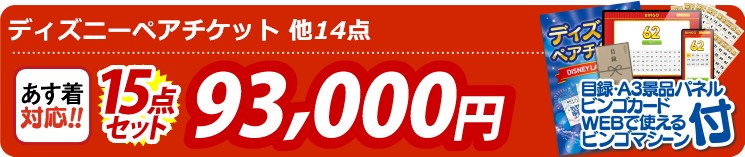【目玉：ディズニーペアチケット】15点セット 15点セット 93000円