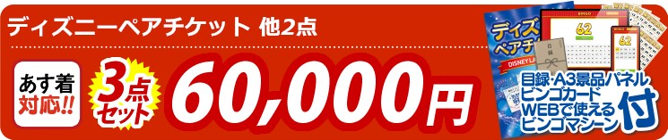 【目玉：ディズニーペアチケット】3点セット 3点セット 60000円