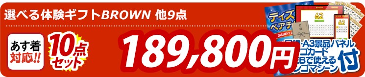 【目玉：選べる体験ギフトBROWN】10点セット 10点セット 189800円
