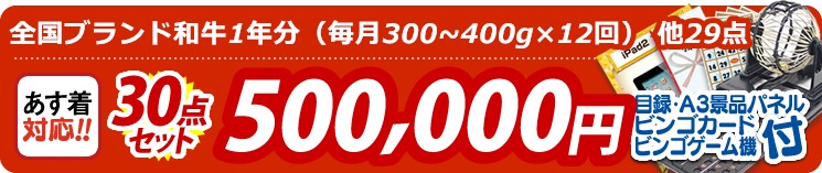 【目玉:全国ブランド和牛1年分(毎月300~400g×12回)】30点セット 30点セット 500000円