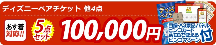 【目玉：ディズニーペアチケット】5点セット 5点セット 100000円