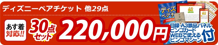 【目玉：ディズニーペアチケット】30点セット 30点セット 220000円