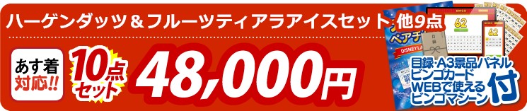 【目玉：ハーゲンダッツ＆フルーツティアラアイスセット】10点セット 10点セット 48000円