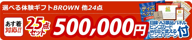 【目玉：選べる体験ギフトBROWN】25点セット 25点セット 500000円