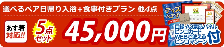 【目玉：選べるペア日帰り入浴+食事付きプラン】5点セット 5点セット 45000円