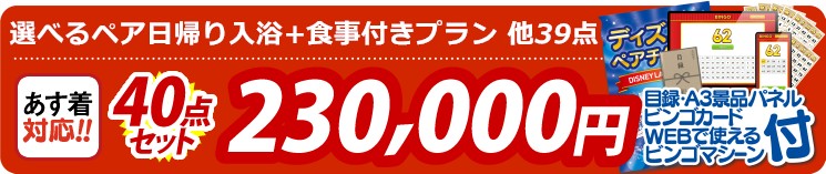 【目玉：選べるペア日帰り入浴+食事付きプラン】40点セット 40点セット 230000円
