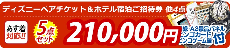 【目玉:ディズニーペアチケット&ホテル宿泊ご招待券】5点セット 5点セット 210000円