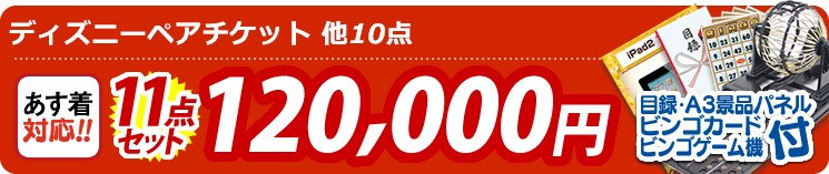 【目玉:ディズニーペアチケット】11点セット 11点セット 120000円
