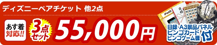 【目玉:ディズニーペアチケット】3点セット 3点セット 55000円