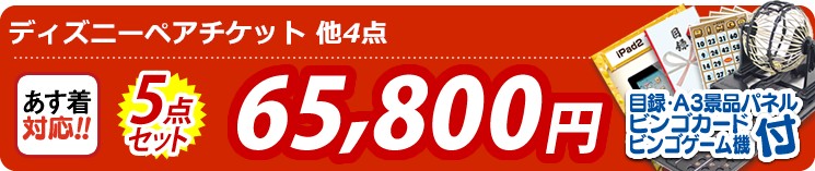 【目玉:ディズニーペアチケット】5点セット 5点セット 65800円