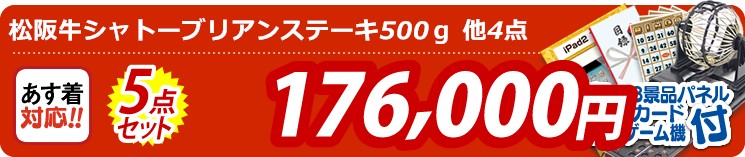 【目玉:松阪牛シャトーブリアンステーキ500g】5点セット 5点セット 176000円