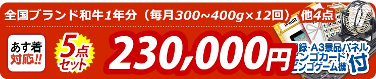 【目玉:全国ブランド和牛1年分(毎月300~400g×12回)】5点セット 5点セット 230000円