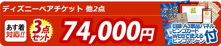 【目玉：ディズニーペアチケット】3点セット 3点セット 74000円