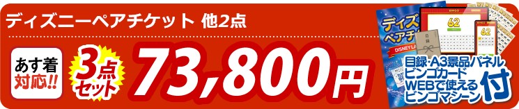 【目玉：ディズニーペアチケット】3点セット 3点セット 73800円