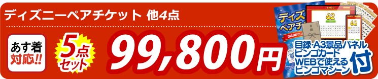 【目玉：ディズニーペアチケット】5点セット 5点セット 99800円