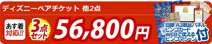 【目玉：ディズニーペアチケット】3点セット 3点セット 56800円