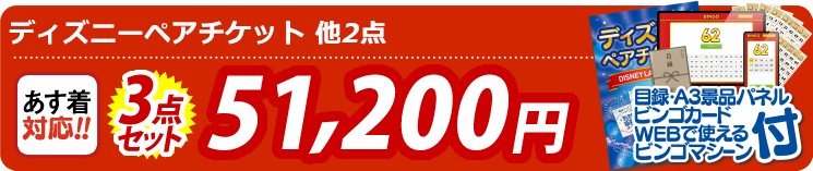 【目玉：ディズニーペアチケット】3点セット 3点セット 51200円
