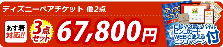 【目玉：ディズニーペアチケット】3点セット 3点セット 67800円