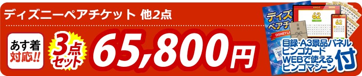 【目玉：ディズニーペアチケット】3点セット 3点セット 65800円