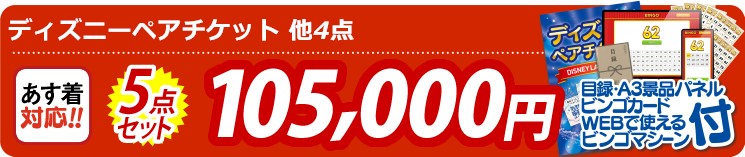 【目玉：ディズニーペアチケット】5点セット 5点セット 105000円