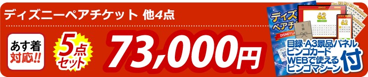 【目玉：ディズニーペアチケット】5点セット 5点セット 73000円