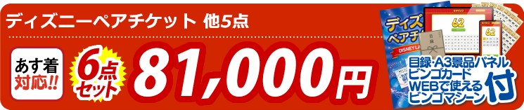 【目玉：ディズニーペアチケット】6点セット 6点セット 81000円