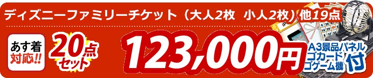 【目玉:ディズニーファミリーチケット(大人2枚  小人2枚)】20点セット 20点セット 123000円
