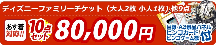 【目玉:ディズニーファミリーチケット(大人2枚 小人1枚)】10点セット 10点セット 80000円