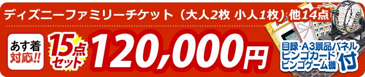 【目玉:ディズニーファミリーチケット(大人2枚 小人1枚)】15点セット 15点セット 120000円