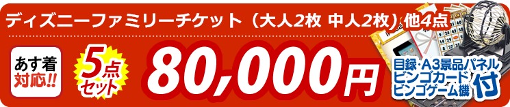 【目玉:ディズニーファミリーチケット(大人2枚 中人2枚) 】5点セット 5点セット 80000円