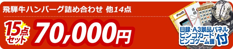 【目玉:飛騨牛ハンバーグ詰め合わせ】15点セット 15点セット 70000円