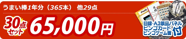 【目玉:うまい棒1年分(365本)】30点セット 30点セット 65000円