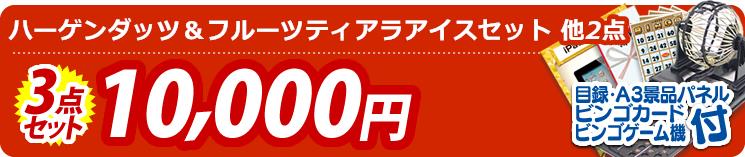 【目玉:ハーゲンダッツ&フルーツティアラアイスセット】3点セット 3点セット 10000円