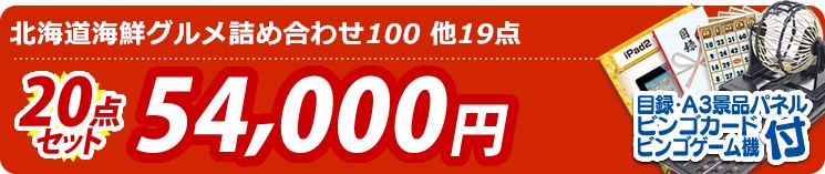 【目玉:北海道海鮮グルメ詰め合わせ100】20点セット 20点セット 54000円