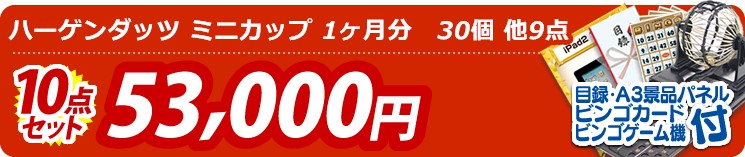 【目玉:ハーゲンダッツ ミニカップ 1ヶ月分　30個】10点セット 10点セット 53000円