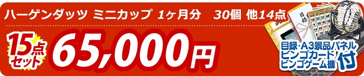 【目玉:ハーゲンダッツ ミニカップ 1ヶ月分　30個】15点セット 15点セット 65000円