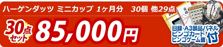 【目玉:ハーゲンダッツ ミニカップ 1ヶ月分　30個】30点セット 30点セット 85000円