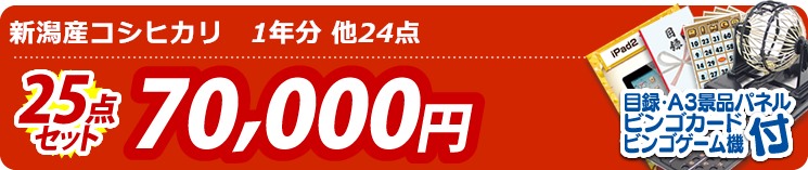 【目玉:新潟産コシヒカリ　1年分】25点セット 25点セット 70000円