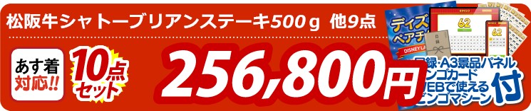 【目玉：松阪牛シャトーブリアンステーキ500ｇ】10点セット 10点セット 256800円