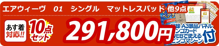 【目玉：エアウィーヴ　01　シングル　マットレスパッド】10点セット 10点セット 291800円