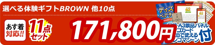 【目玉：選べる体験ギフトBROWN】11点セット 11点セット 171800円