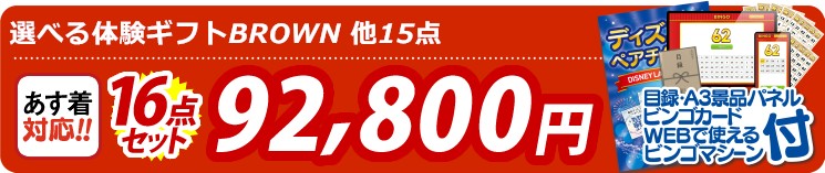 【目玉：選べる体験ギフトBROWN】16点セット 16点セット 92800円
