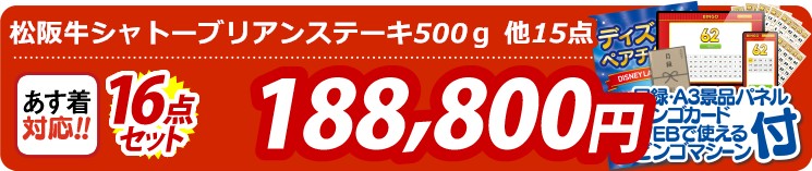 【目玉：松阪牛シャトーブリアンステーキ500ｇ】16点セット 16点セット 188800円