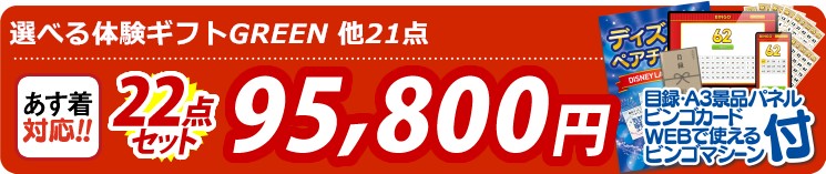 【目玉：選べる体験ギフトGREEN】22点セット 22点セット 95800円